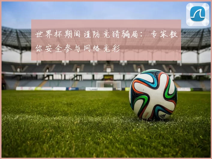 世界杯期间谨防竞猜骗局:专家教你安全参与网络竞彩