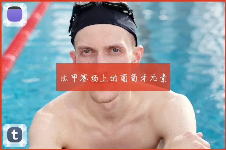 法甲赛场上的葡萄牙元素