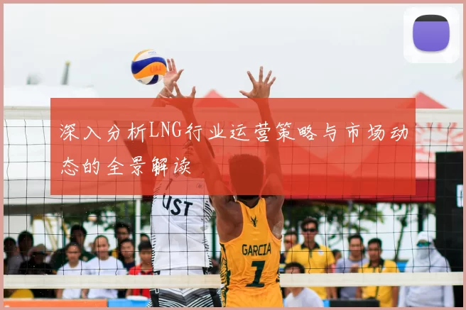 深入分析LNG行业运营策略与市场动态的全景解读