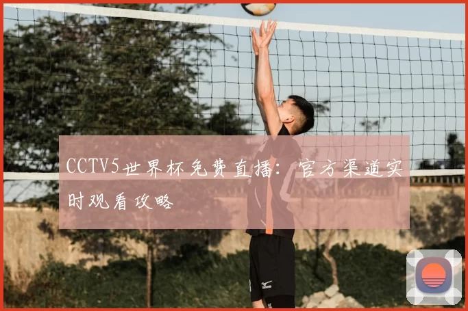 CCTV5世界杯免费直播：官方渠道实时观看攻略