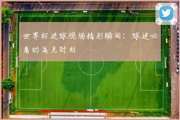 世界杯进球现场精彩瞬间：球迷必看的高光时刻