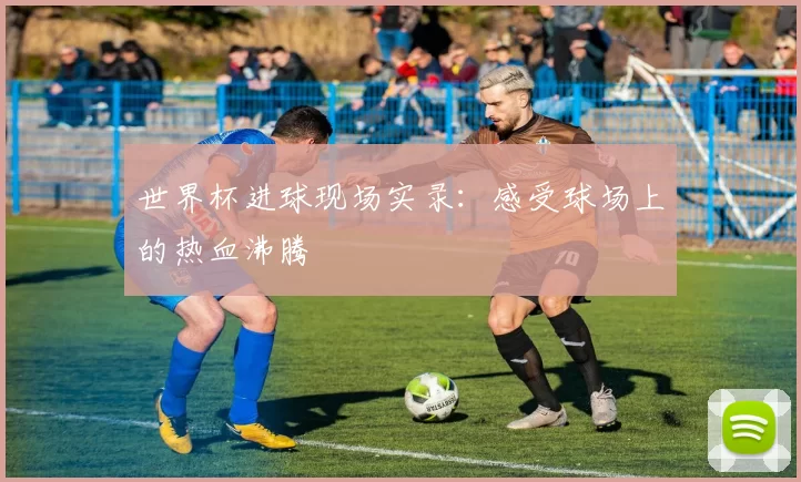 世界杯进球现场实录:感受球场上的热血沸腾