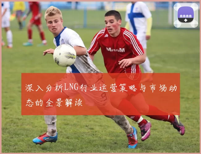 深入分析LNG行业运营策略与市场动态的全景解读