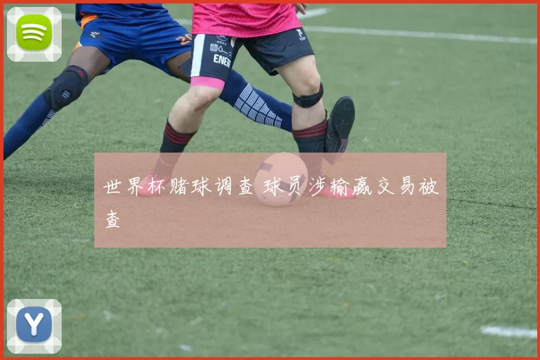 世界杯赌球调查 球员涉输赢交易被查