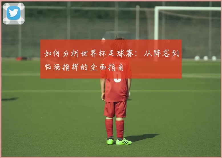 如何分析世界杯足球赛:从阵容到临场指挥的全面指南