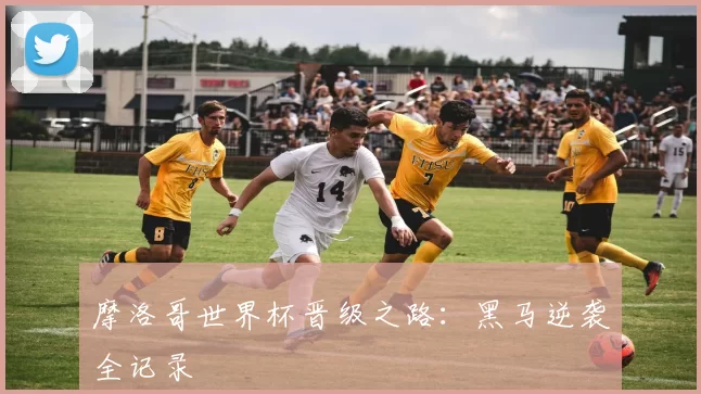 摩洛哥世界杯晋级之路：黑马逆袭全记录