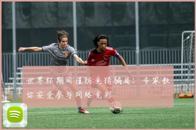 世界杯期间谨防竞猜骗局:专家教你安全参与网络竞彩