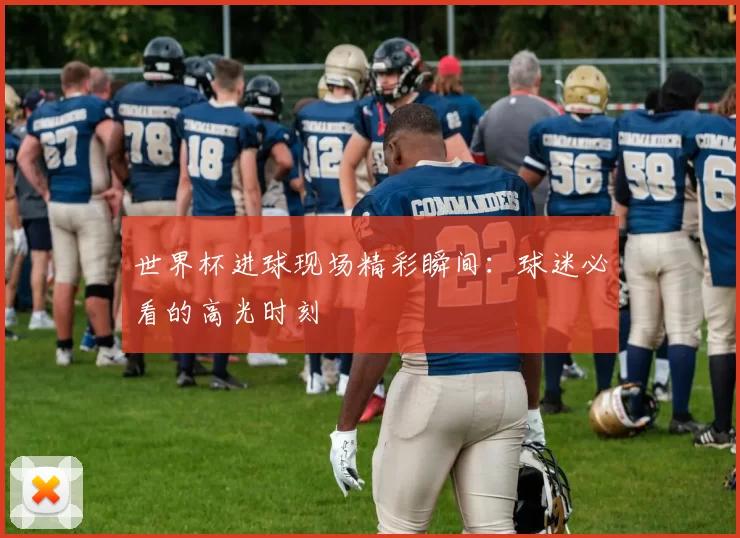 世界杯进球现场精彩瞬间:球迷必看的高光时刻
