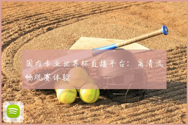 国内专业世界杯直播平台:高清流畅观赛体验