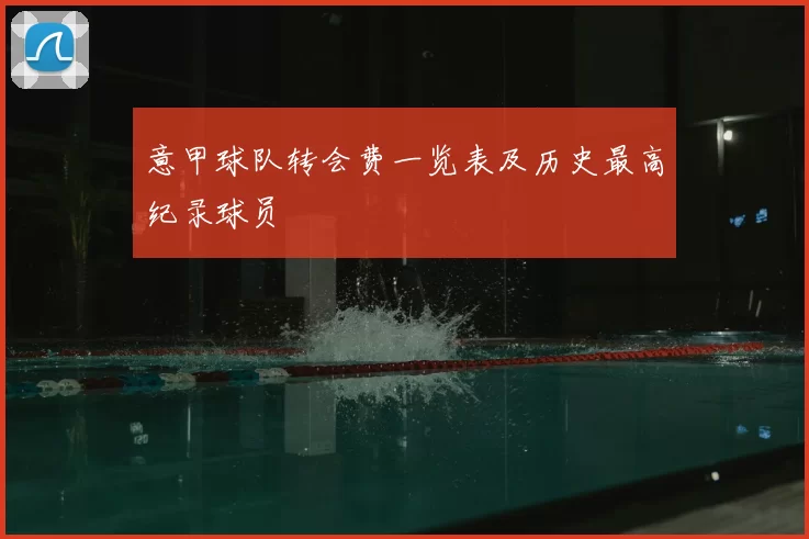 意甲球队转会费一览表及历史最高纪录球员