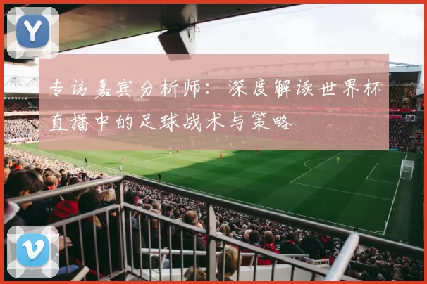 专访嘉宾分析师:深度解读世界杯直播中的足球战术与策略