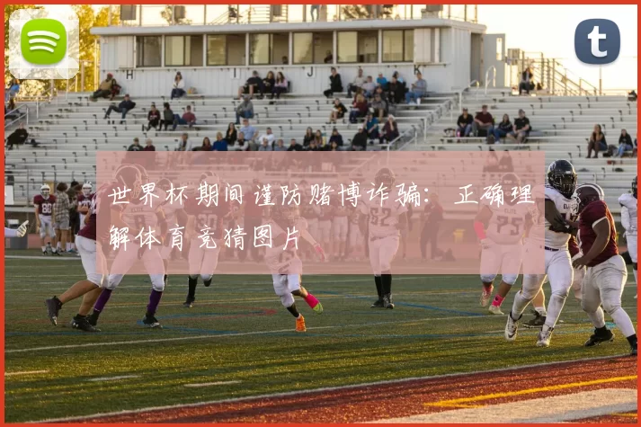 世界杯期间谨防赌博诈骗：正确理解体育竞猜图片