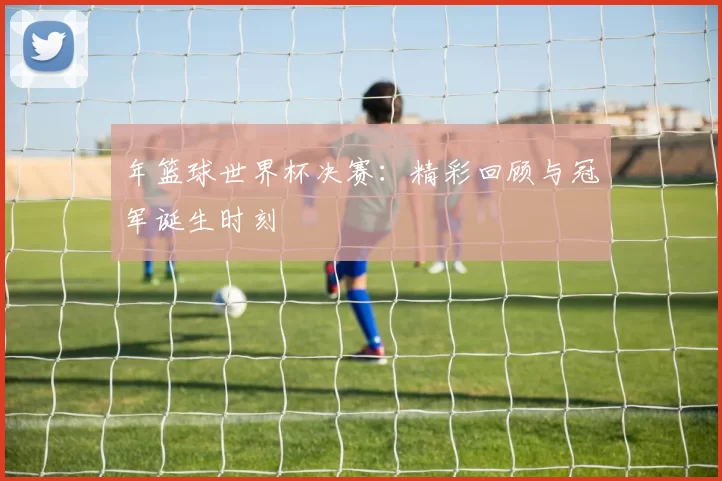 年篮球世界杯决赛:精彩回顾与冠军诞生时刻