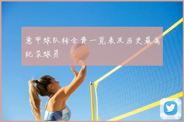 意甲球队转会费一览表及历史最高纪录球员