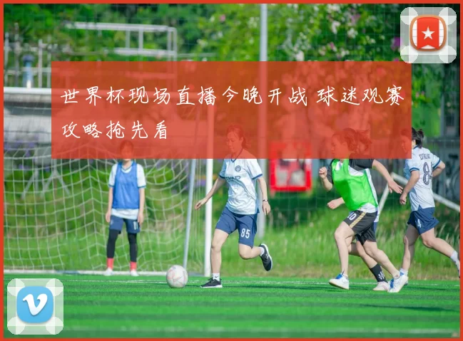 世界杯现场直播今晚开战 球迷观赛攻略抢先看