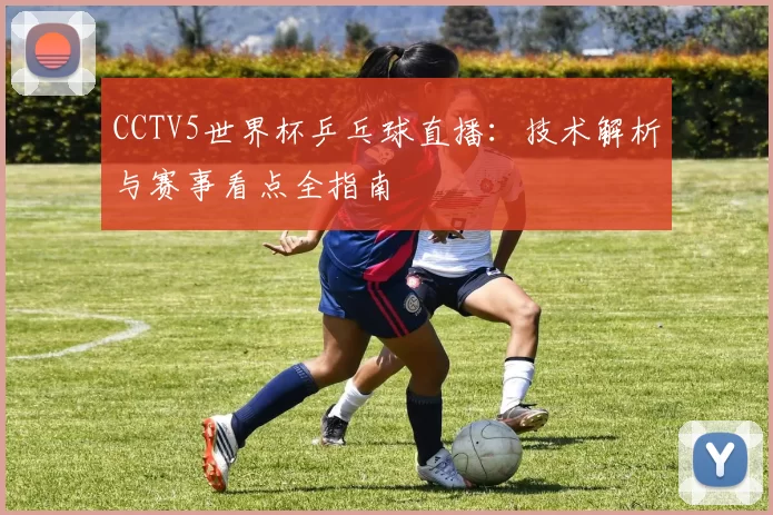 CCTV5世界杯乒乓球直播:技术解析与赛事看点全指南