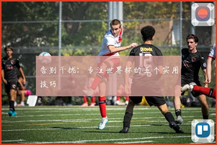 告别干扰：专注世界杯的五个实用技巧
