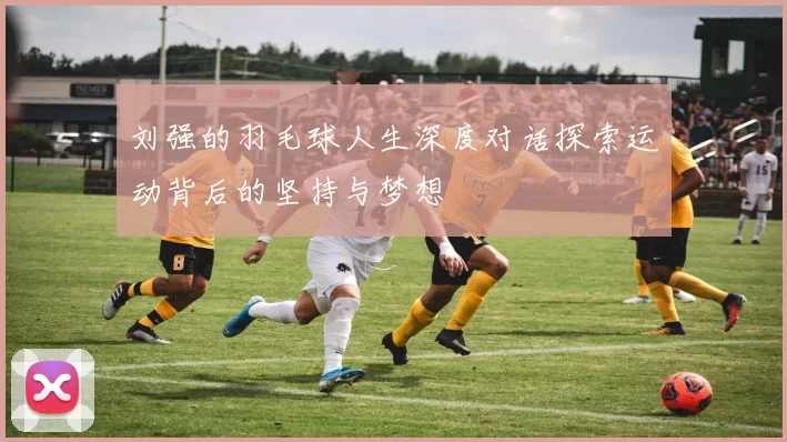 刘强的羽毛球人生深度对话探索运动背后的坚持与梦想