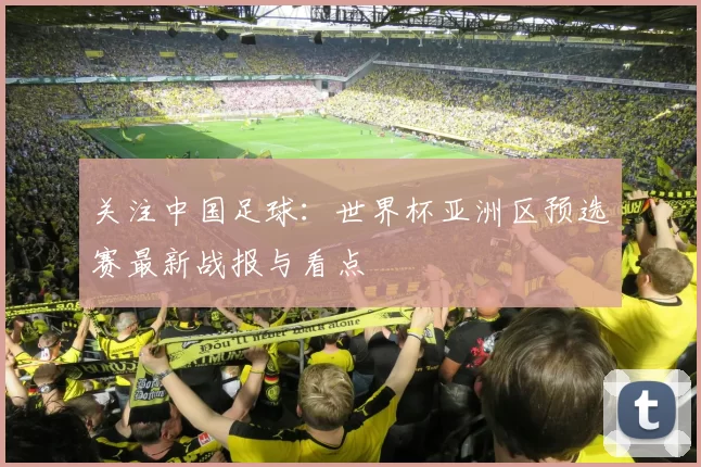 关注中国足球:世界杯亚洲区预选赛最新战报与看点
