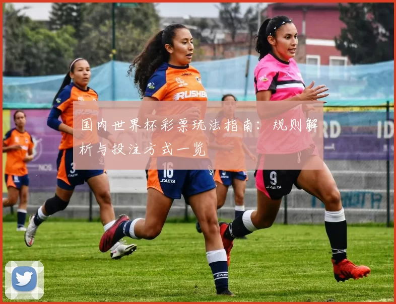 国内世界杯彩票玩法指南：规则解析与投注方式一览