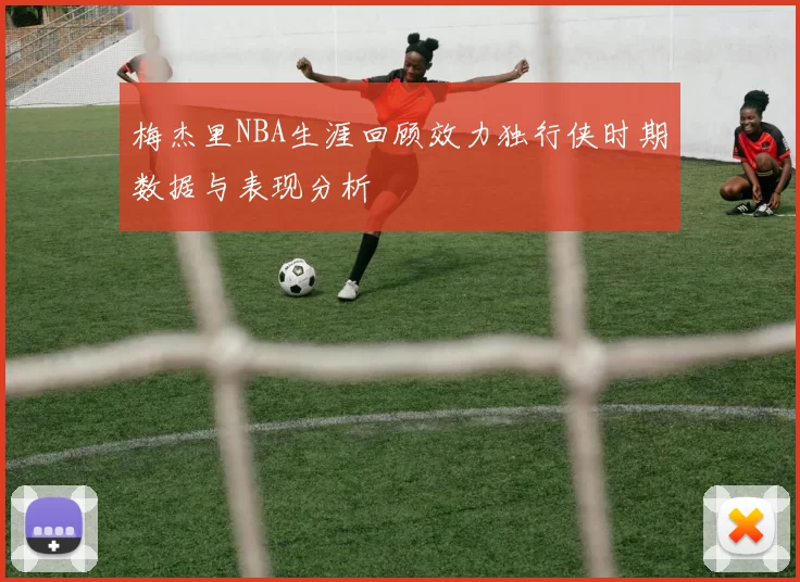 梅杰里NBA生涯回顾效力独行侠时期数据与表现分析